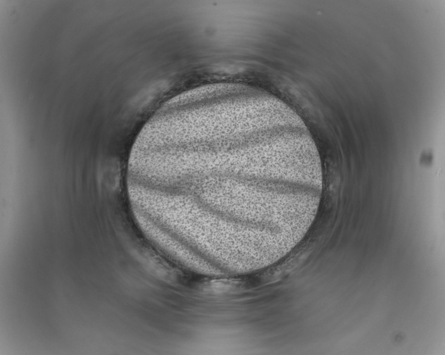 X0000090700758200708171846