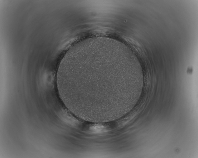 X0000090700759200708171846