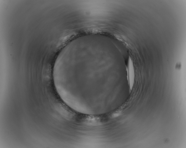 X0000090700760200708171846