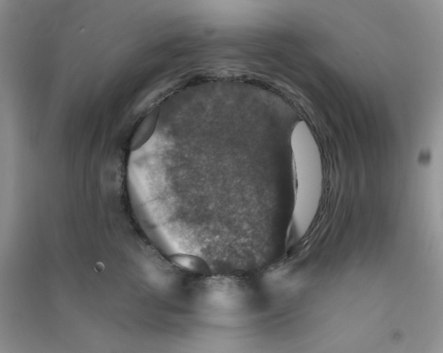 X0000090700762200708171846