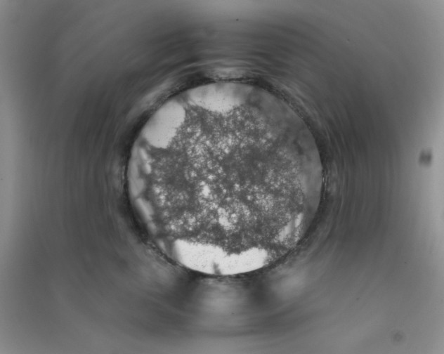 X0000090700763200708171846