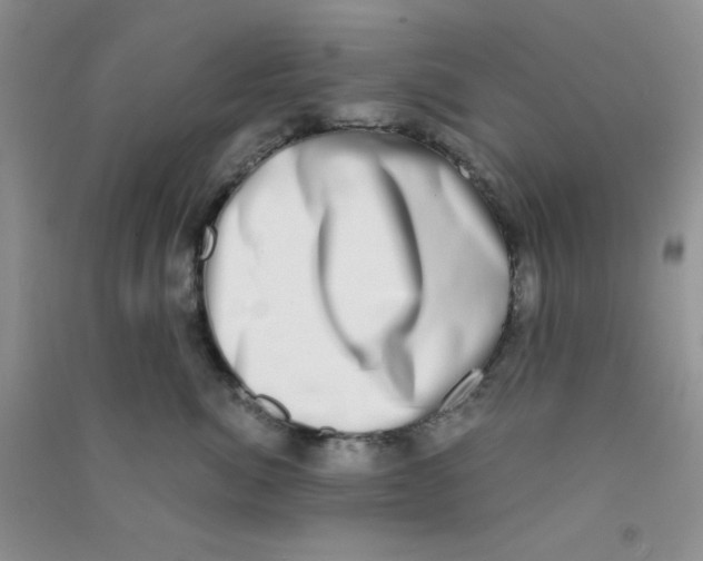 X0000090700764200708171846