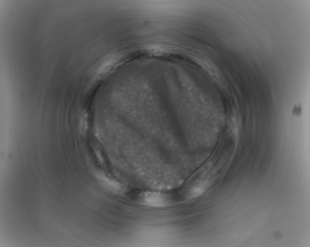 X0000090700766200708171846