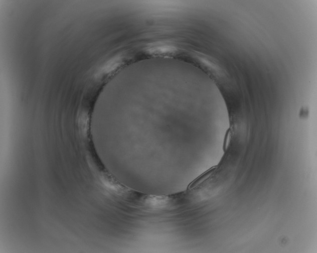 X0000090700767200708171846