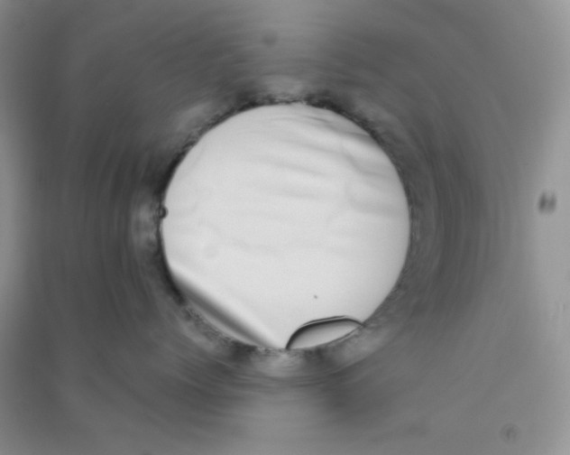 X0000090700768200708171846