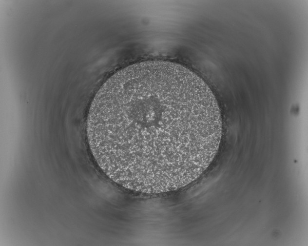 X0000090700769200708171845