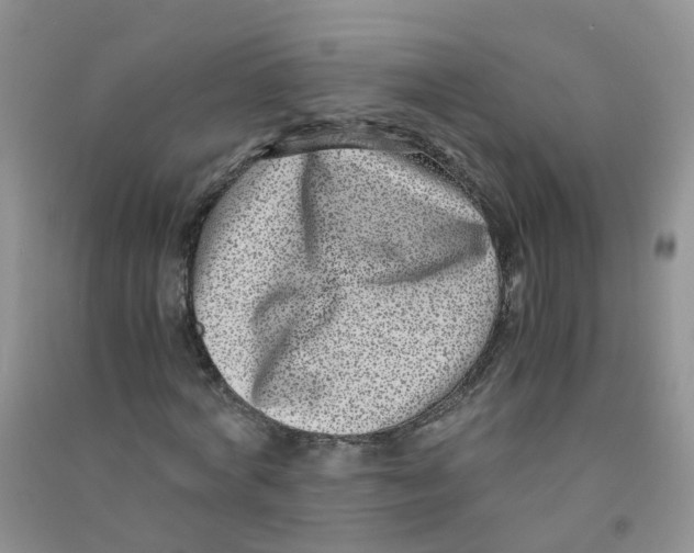 X0000090700772200708171845