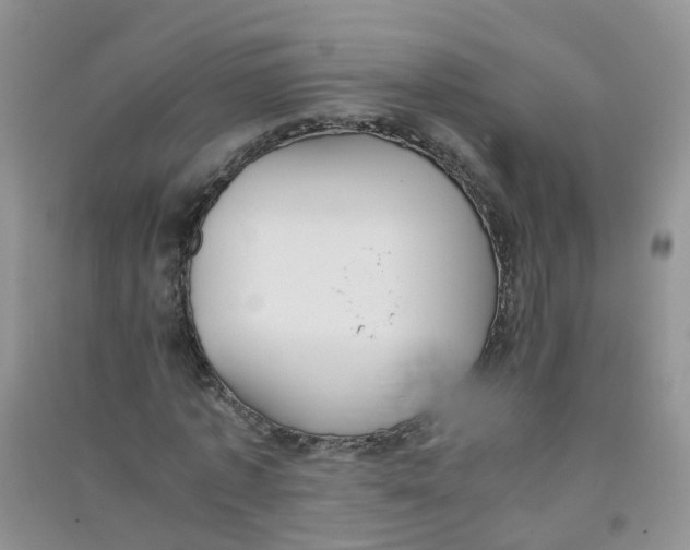 X0000090700773200708171845