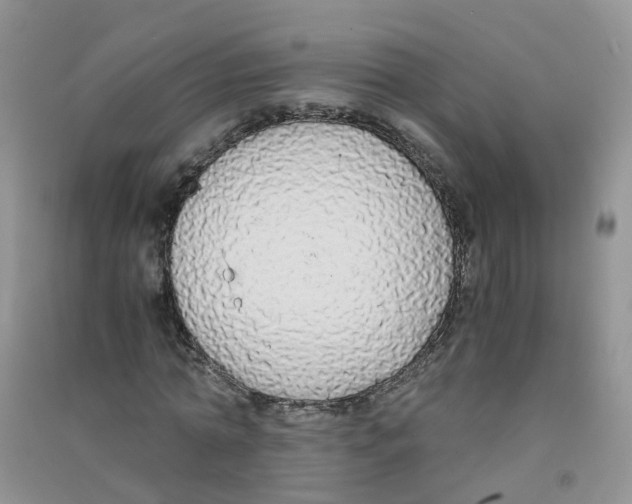 X0000090700774200708171845