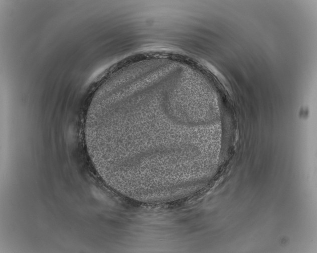 X0000090700775200708171845