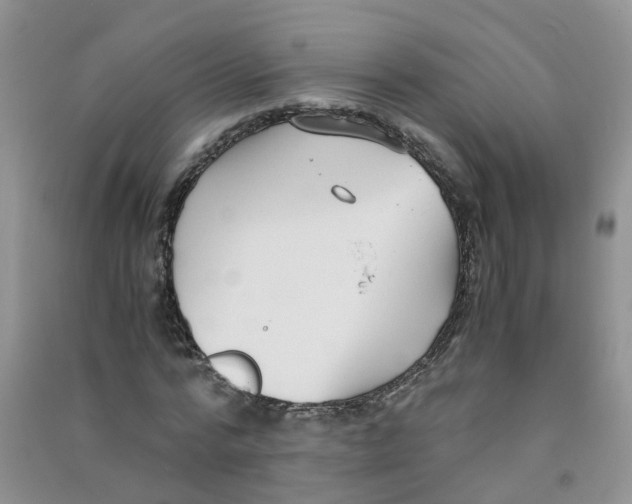 X0000090700776200708171845