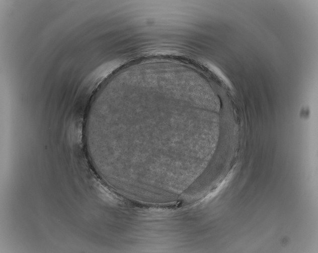 X0000090700777200708171845