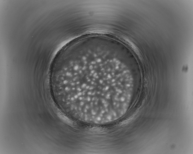 X0000090700779200708171845