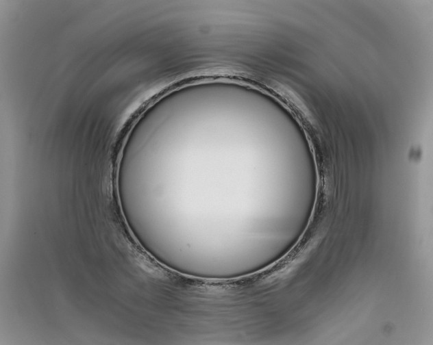 X0000090700781200708171845