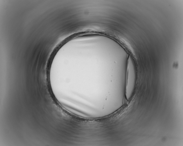 X0000090700784200708171845