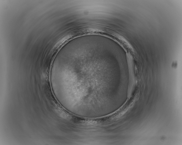 X0000090700785200708171845