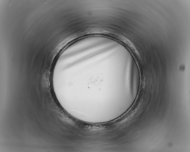 X0000090700786200708171845