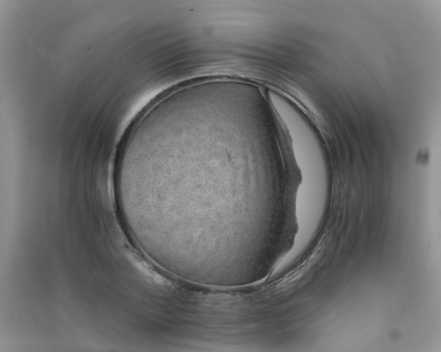 X0000090700788200708171845