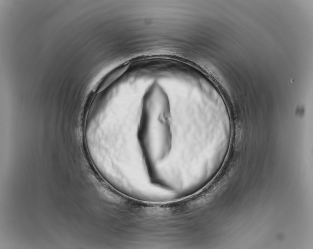 X0000090700789200708171845