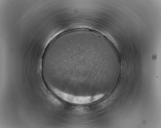 X0000090700790200708171845