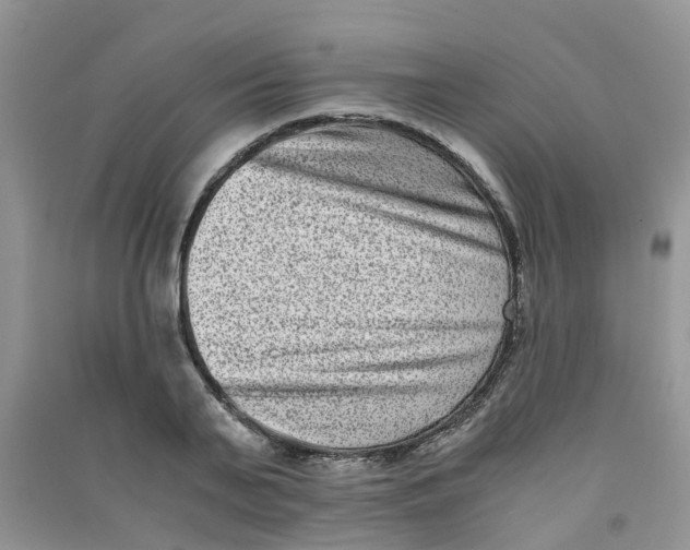 X0000090700791200708171845