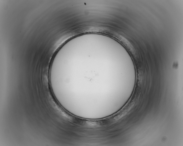 X0000090700794200708171845