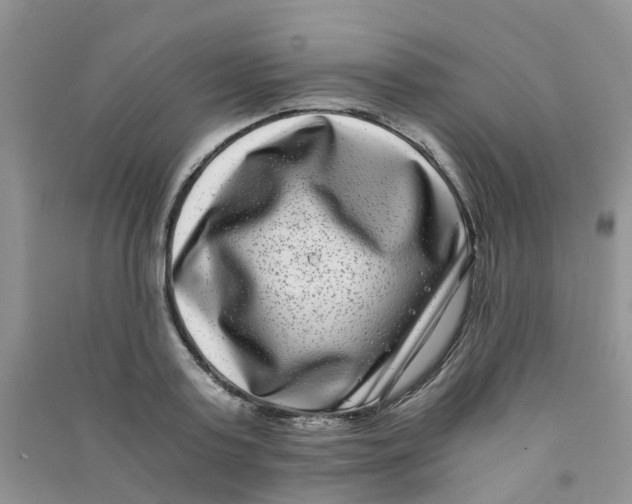 X0000090700795200708171845