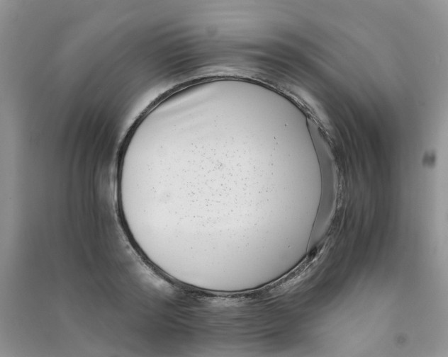 X0000090700796200708171845