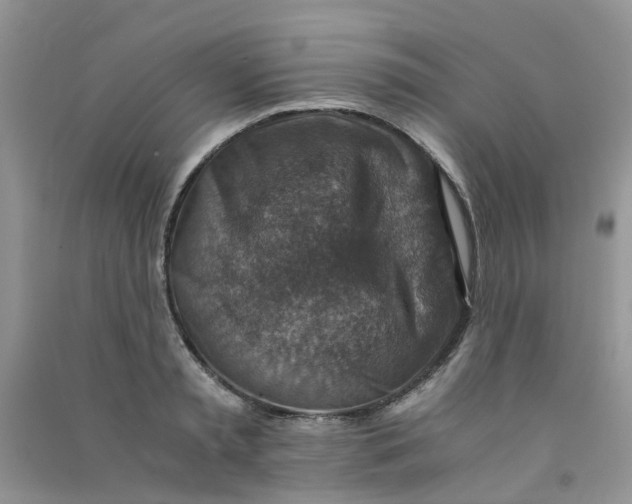 X0000090700797200708171845