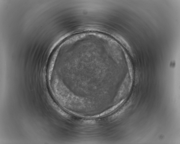 X0000090700798200708171845