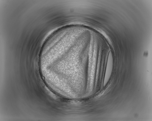 X0000090700799200708171845