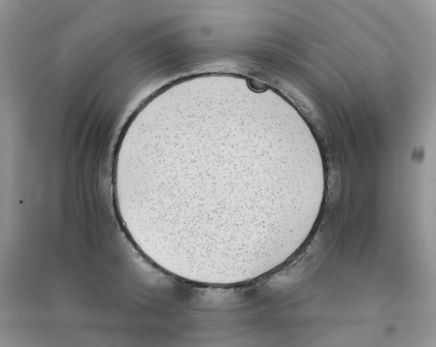 X0000090700800200708171845