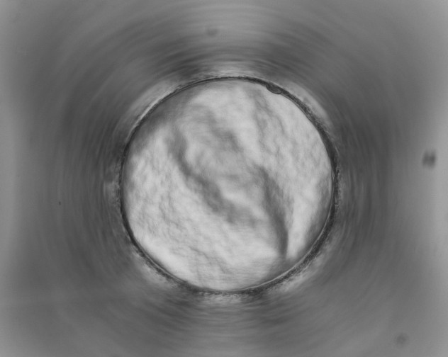 X0000090700801200708171845