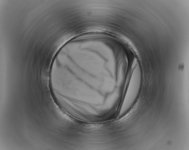 X0000090700802200708171845