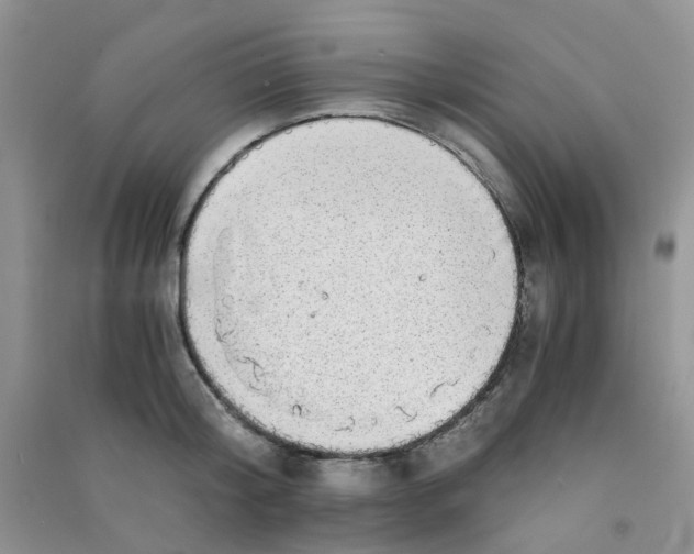 X0000090700804200708171845