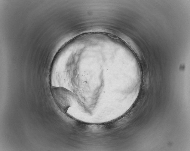 X0000090700805200708171845