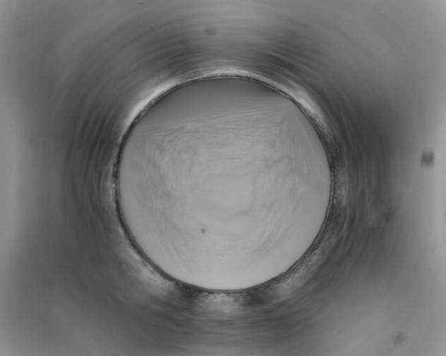 X0000090700806200708171845