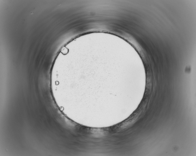 X0000090700807200708171845