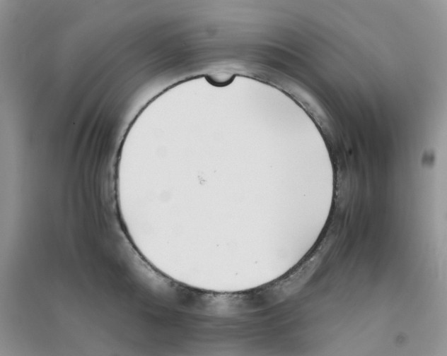 X0000090700808200708171845