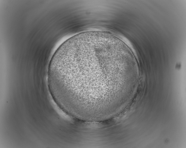 X0000090700811200708171845