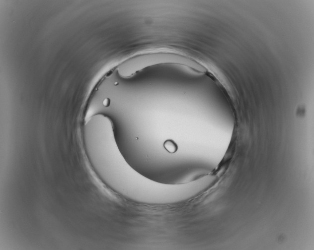 X0000090700813200708171845