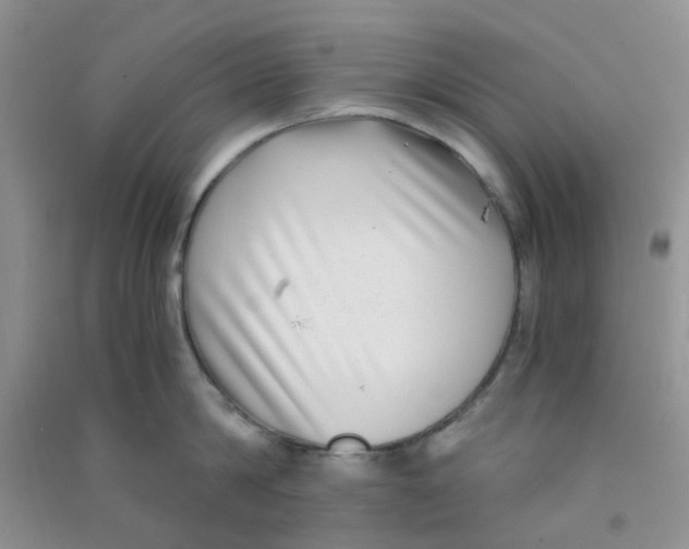 X0000090700814200708171845