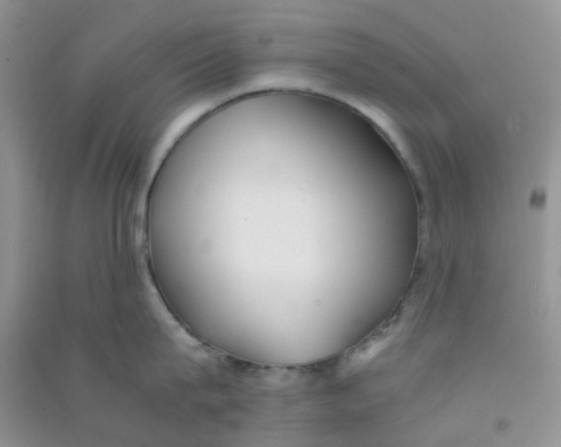 X0000090700815200708171845