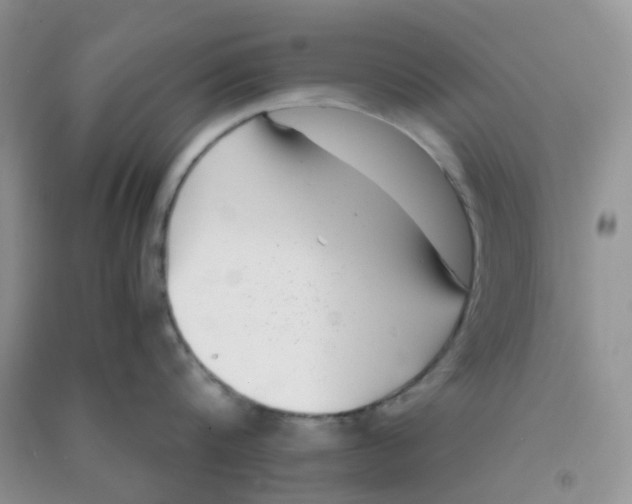 X0000090700816200708171845