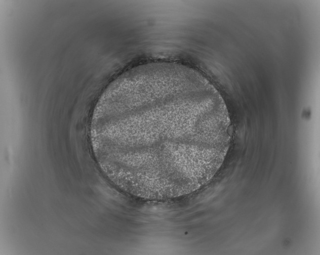 X0000090700817200708171844