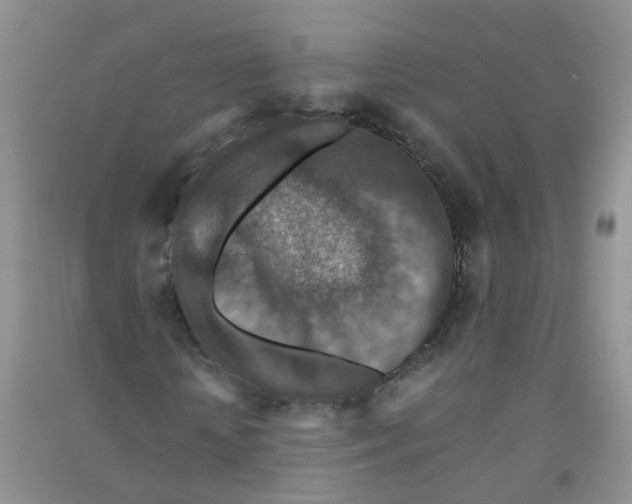 X0000090700818200708171844