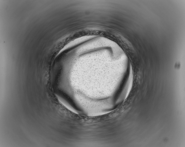 X0000090700821200708171844