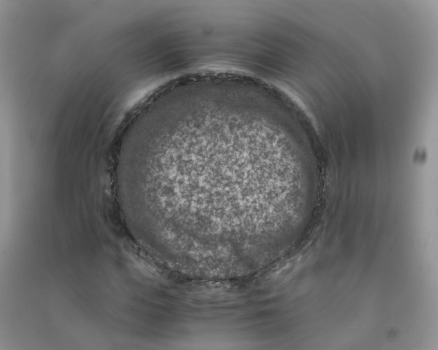 X0000090700823200708171844