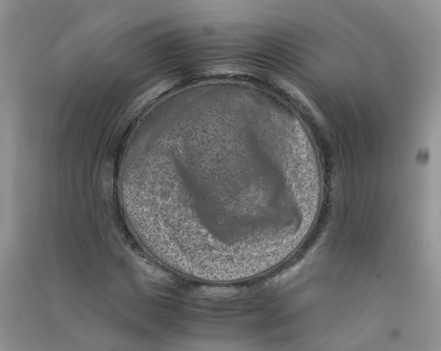 X0000090700825200708171844