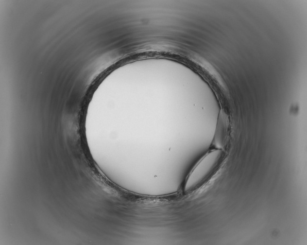 X0000090700826200708171844